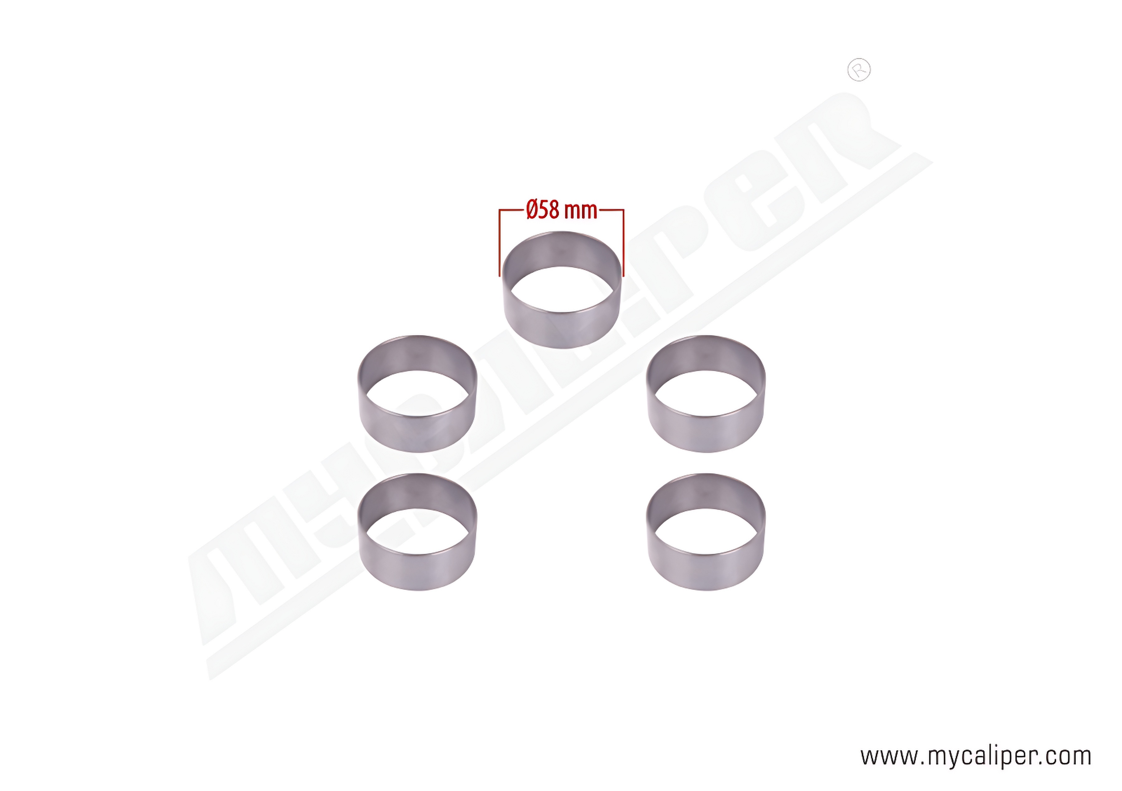 Caliper Bearing Outer Race Kit 